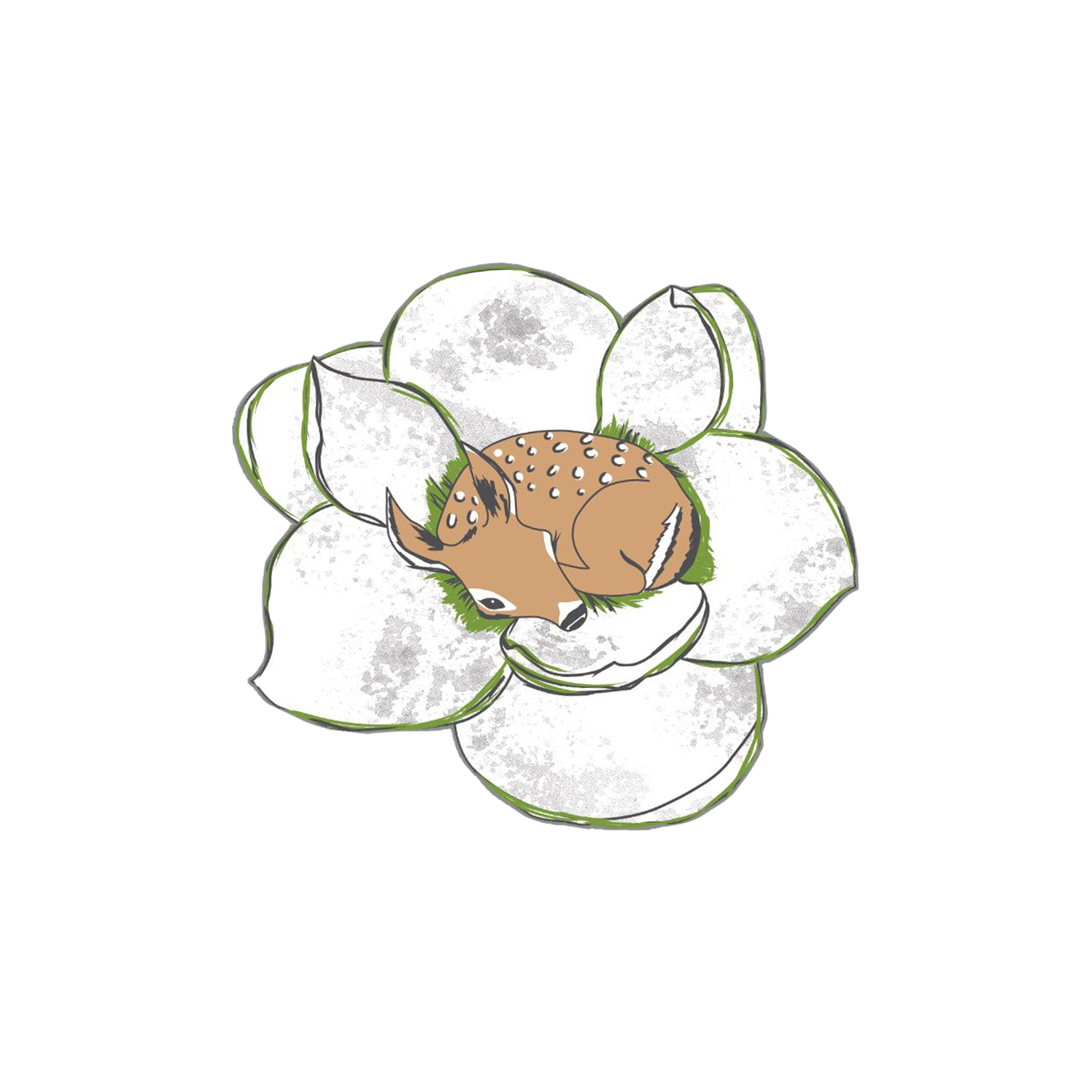 Magnolia Fawn Rescue